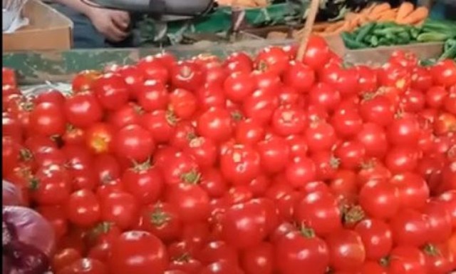 ارتفاع اسعار الطماطم