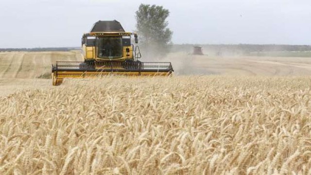 حرب روسيا وأوكرانيا فاقمت أزمة القمح