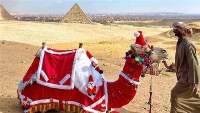 الجمال تتزين برداء بابا نويل في الأهرامات