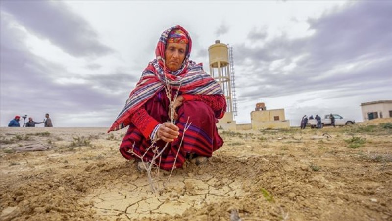 الجفاف في تونس