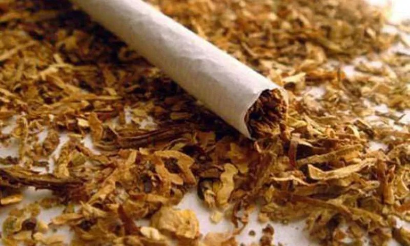 أسعار المعسل