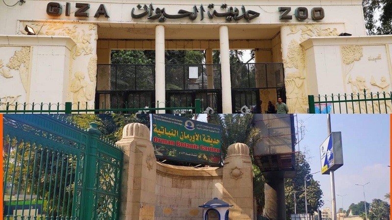 تفاصيل تطوير حديقتي الحيوان والأورمان