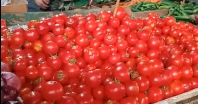 ارتفاع أسعار الطماطم فى الأسواق.. اعرف السبب