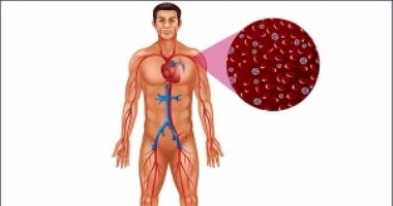 نصائح لتحسين الدورة الدموية للجسم.. منها التنفس العميق وعدم التدخين