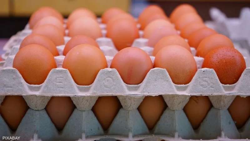 بعد ارتفاع الأسعار... روسيا تبدأ فرض الحظر على صادراتها من البيض ولحوم الدجاج