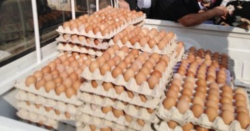 أسعار البيض - أرشيفية