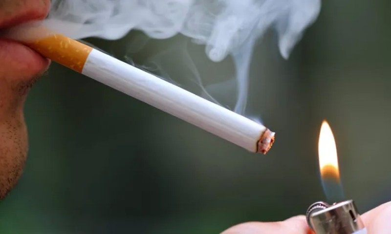 شركة أدخنة النخلة ترفع أسعار وينستون وكاميل