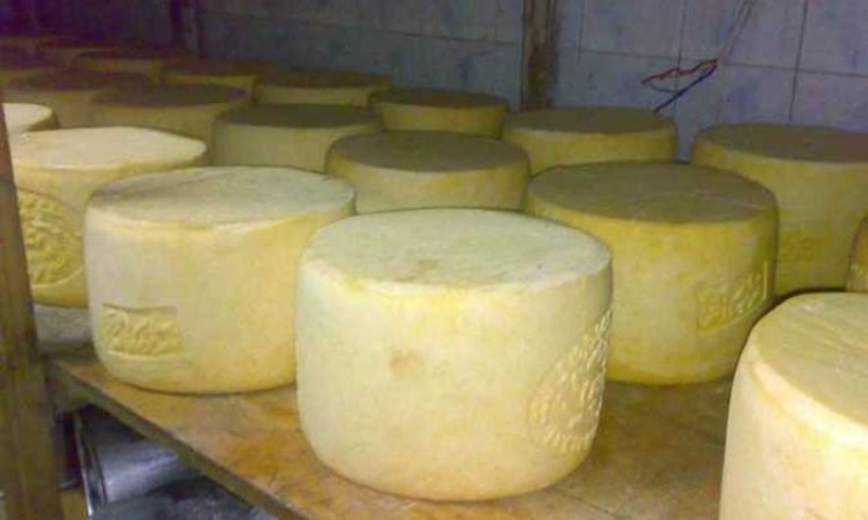 أنواع الجبن الداعمة لـ إسرائيل وبدائلها.. بعد حملات المقاطعة