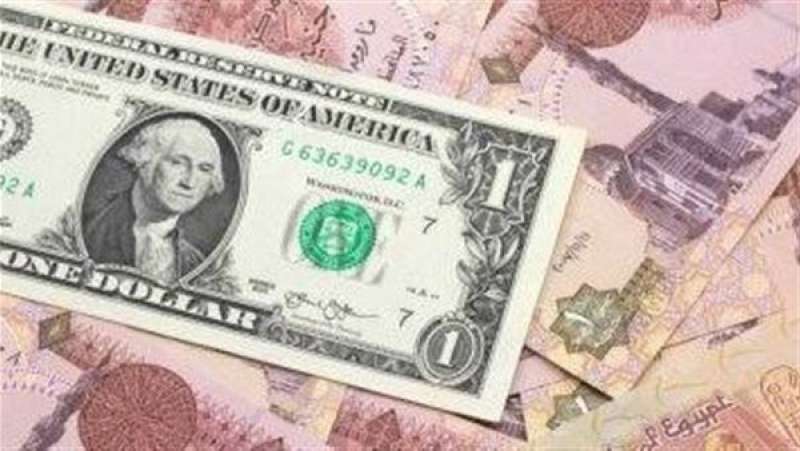 استقرار سعر الدولار فى البنوك اليوم الجمعة 9 فبراير 2024
