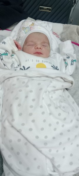 أسرة ”مصر 24” تهنئ الأستاذ طارق مغازي بمولوده الجديد ”محمد” أسرة ”مصر 24” تهنئ الأستاذ طارق مغازي بمولوده الجديد ”محمد”